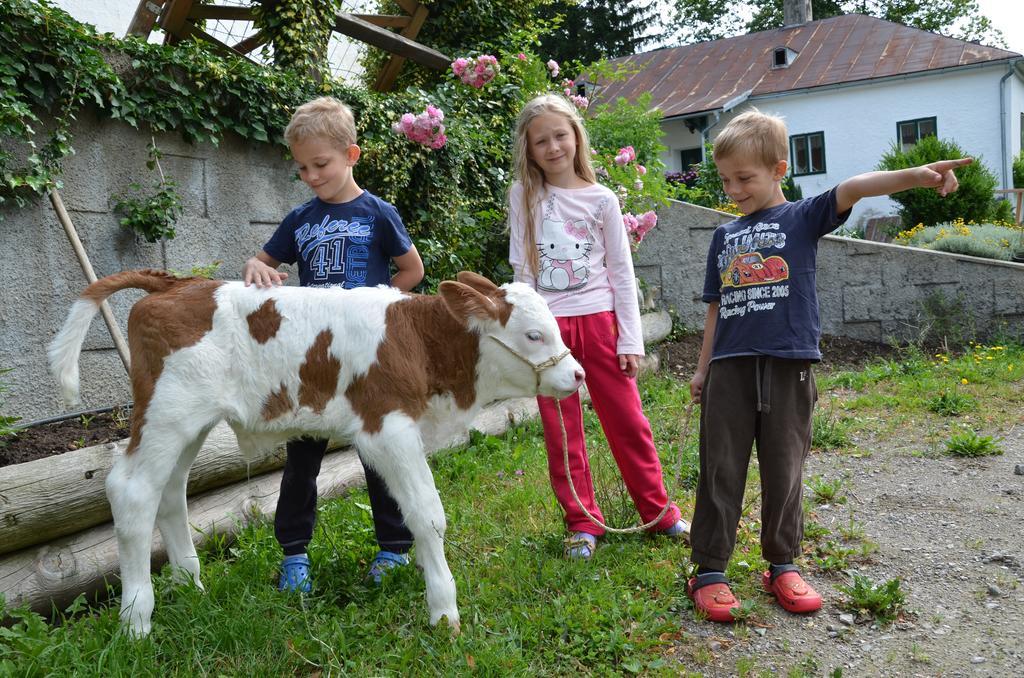Ferienwohnung Vonwald Michelbach Luaran gambar