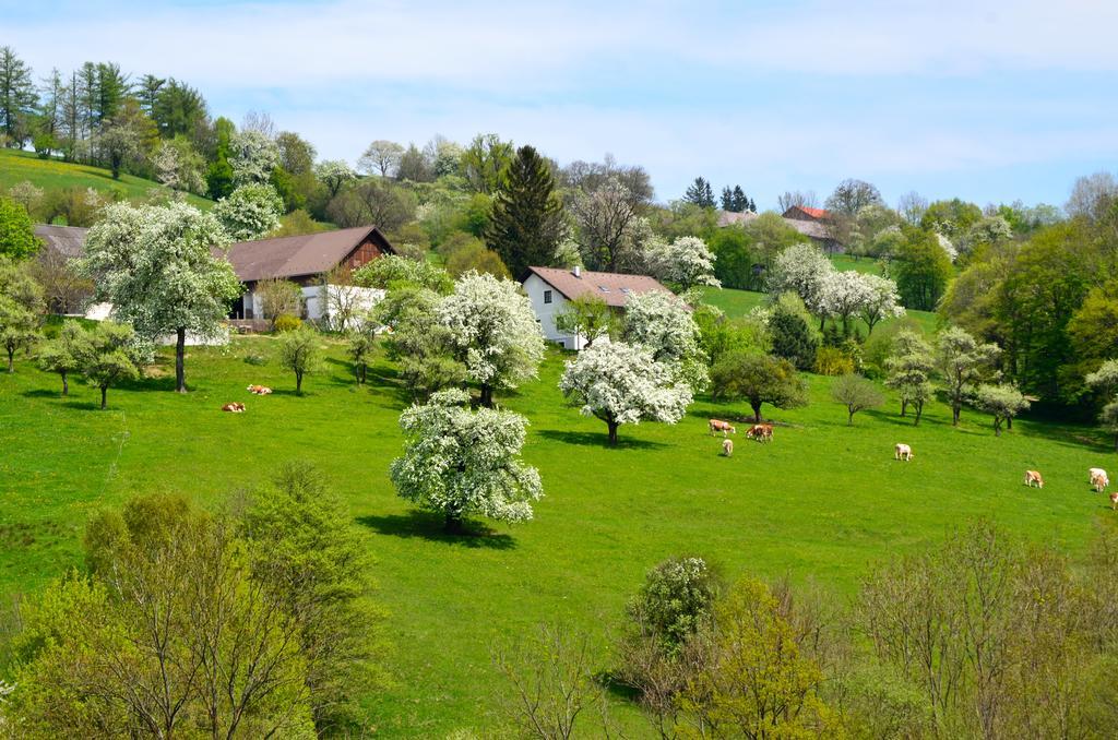 Ferienwohnung Vonwald Michelbach Luaran gambar