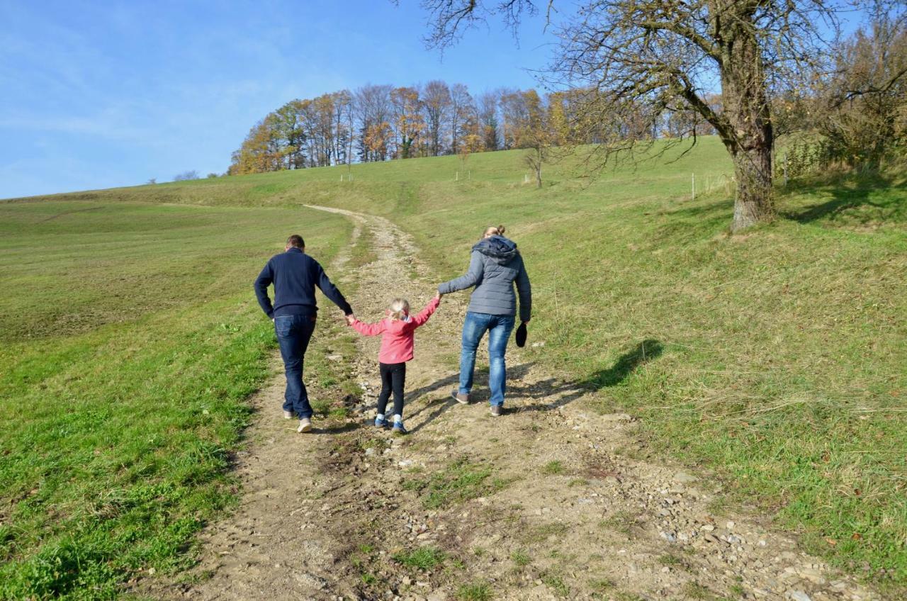 Ferienwohnung Vonwald Michelbach Luaran gambar